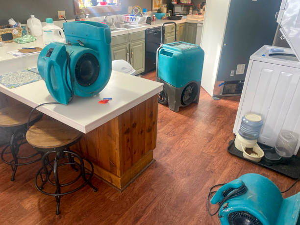 Best Local water damage restoration  in Bridgetown, OH