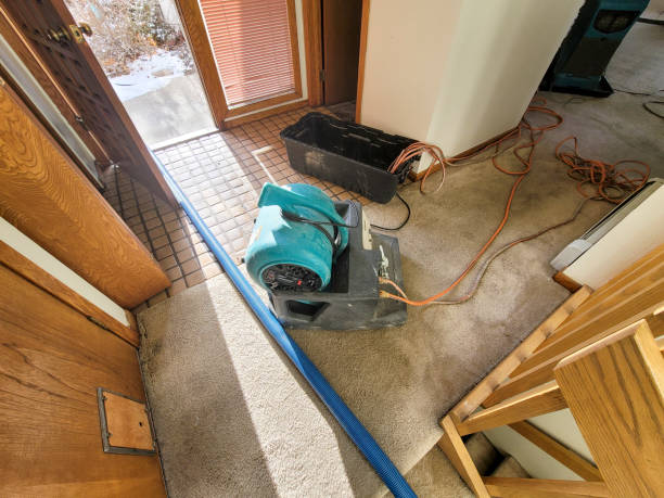  Bridgetown, OH Water damage restoration Pros