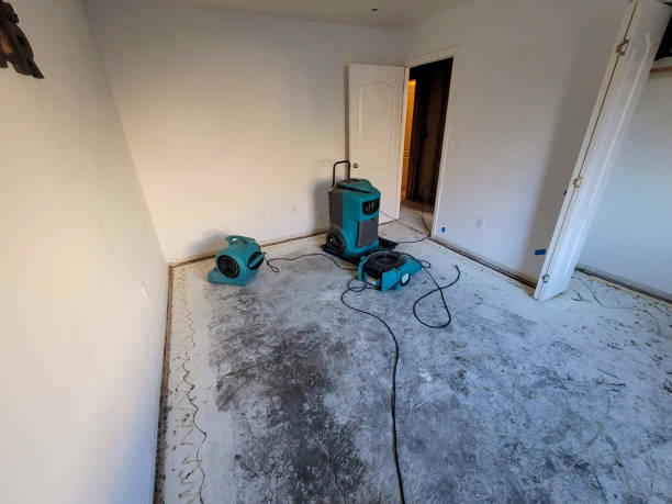 Best Ceiling water damage repair  in Bridgetown, OH