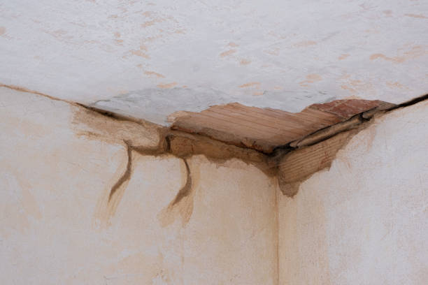 Best Flooded house restoration  in Bridgetown, OH