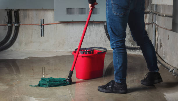 Best Water damage mitigation services  in Bridgetown, OH