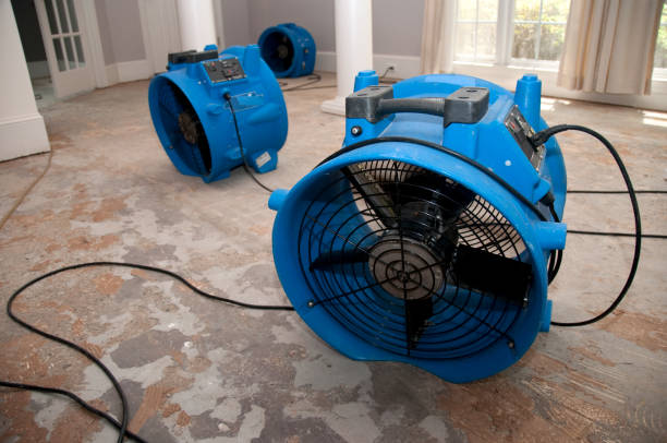 Best Water damage restoration near me  in Bridgetown, OH