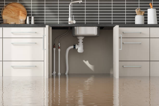 Best Flood damage cleanup  in Bridgetown, OH