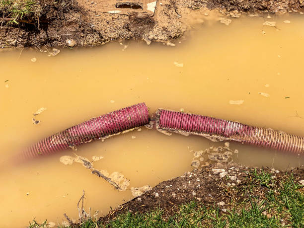 Best Carpet water damage restoration  in Bridgetown, OH