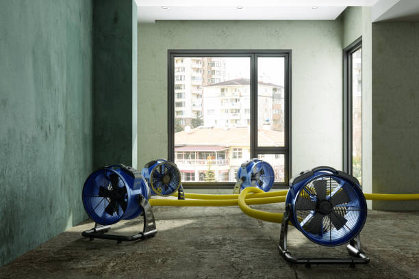 Best 24-hour water damage restoration  in Bridgetown, OH
