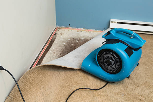 Carpet water damage restoration in OH